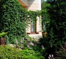 ogrod04-01