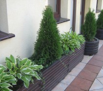 ogrod07-05